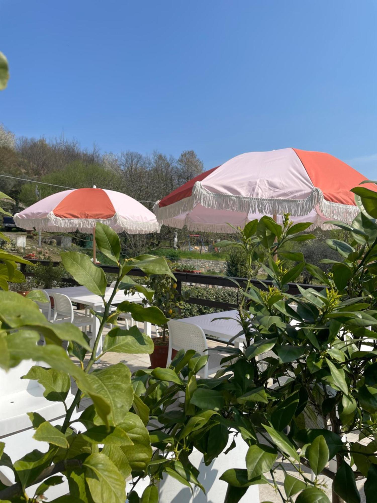 Bb10 Oasi Guest House Arona Exterior photo